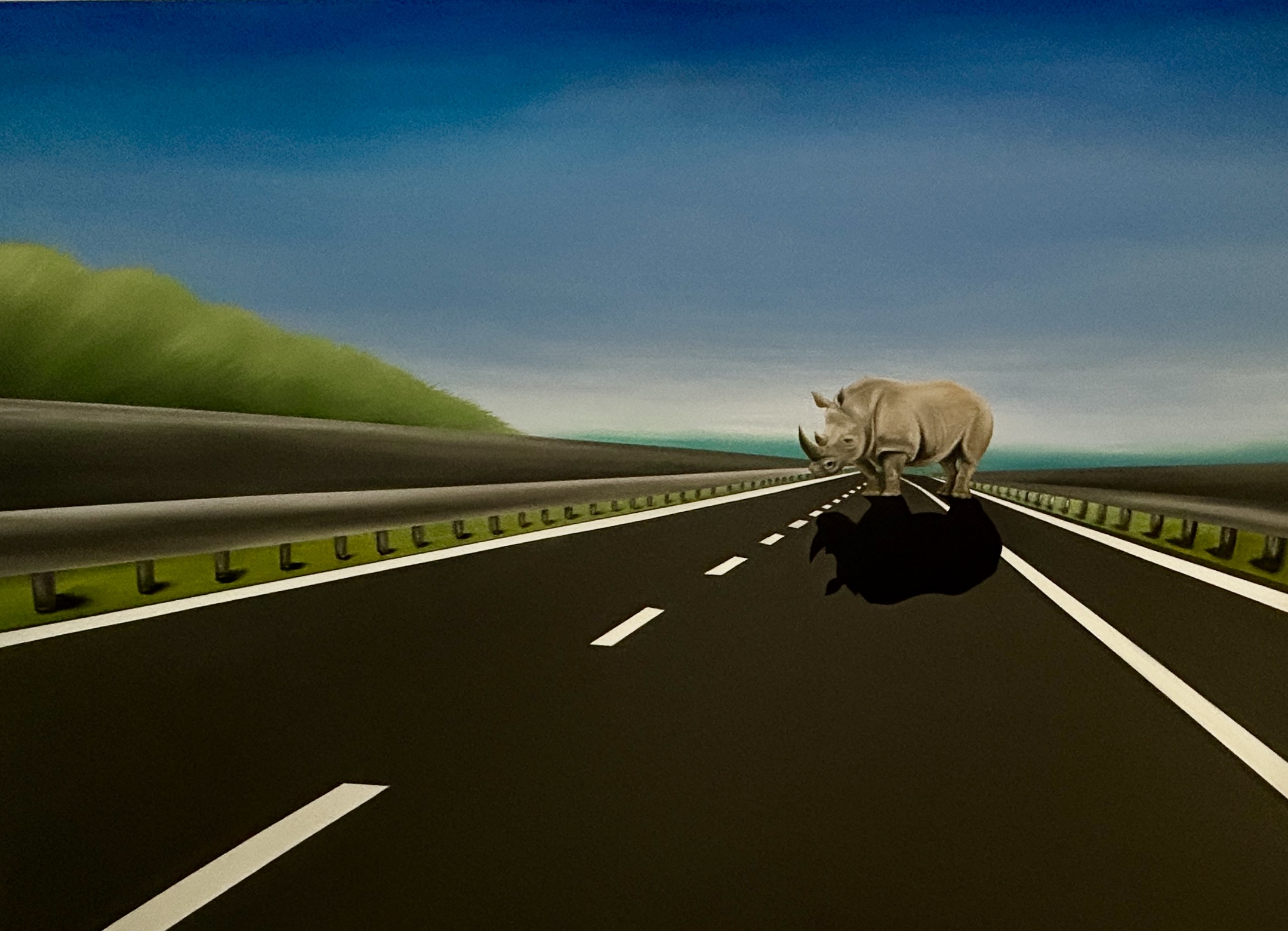 Highway Rhino